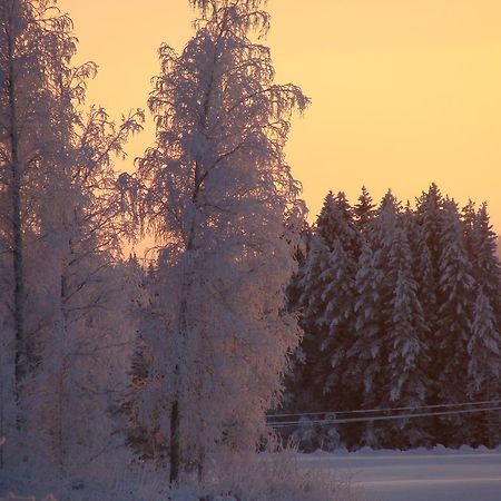 Villa Tiirinkallio Nilsia Room photo