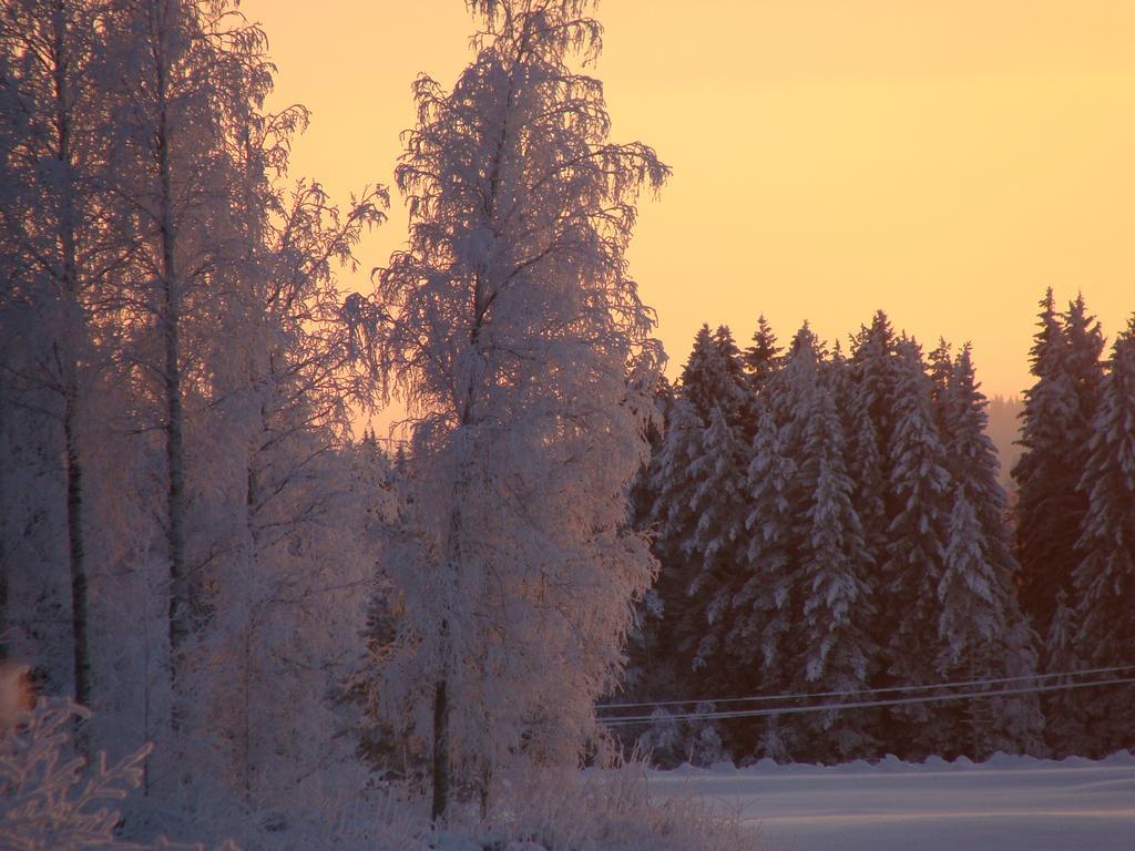 Villa Tiirinkallio Nilsia Room photo