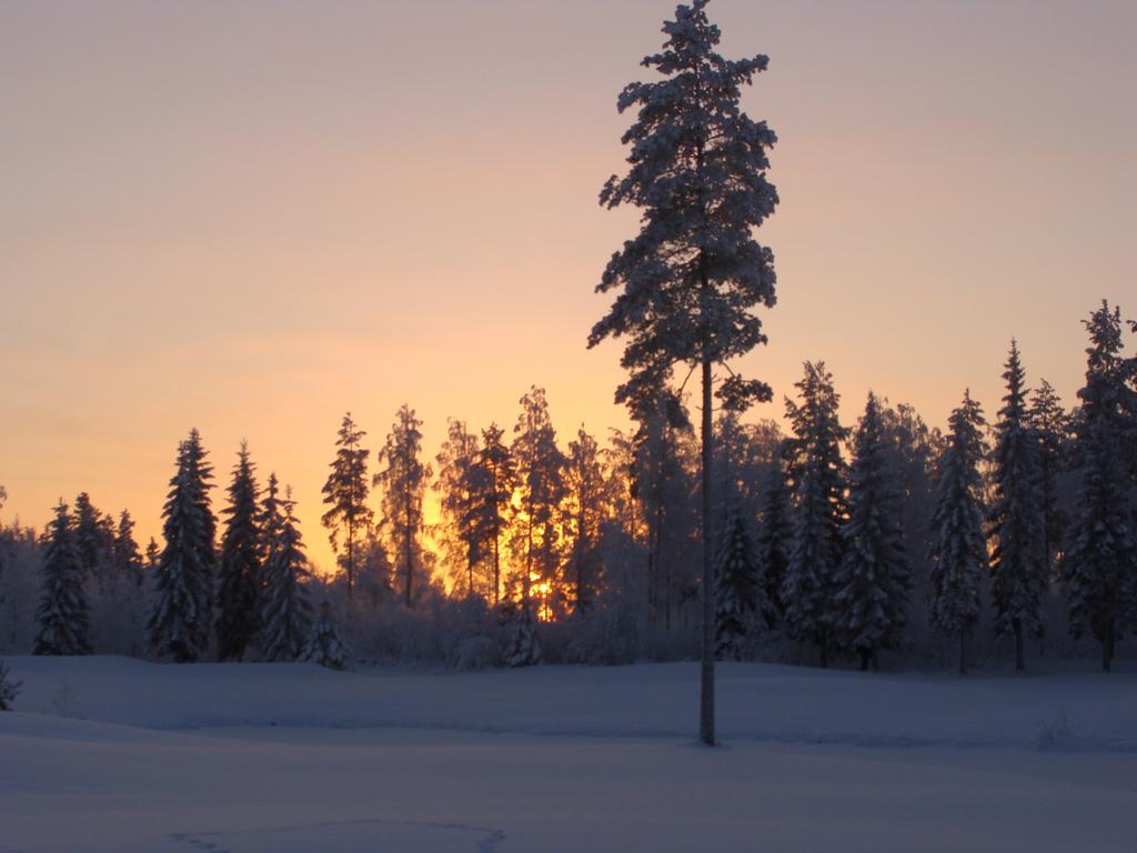 Villa Tiirinkallio Nilsia Room photo